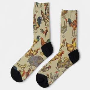 Chaussette Rooster Poulet de la ferme Pays Animal