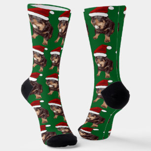 Chaussette Rottweiler de Noël mignon avec un chapeau de Père