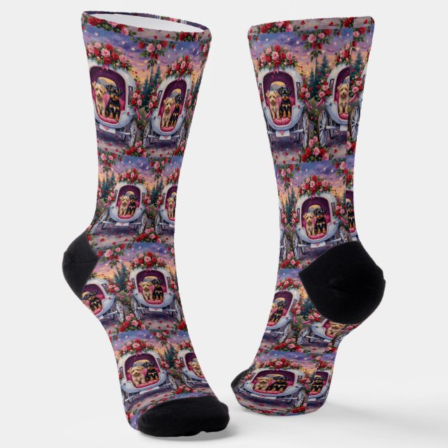 Chaussette Saint-Valentin Affenpinscher (Angulaire)