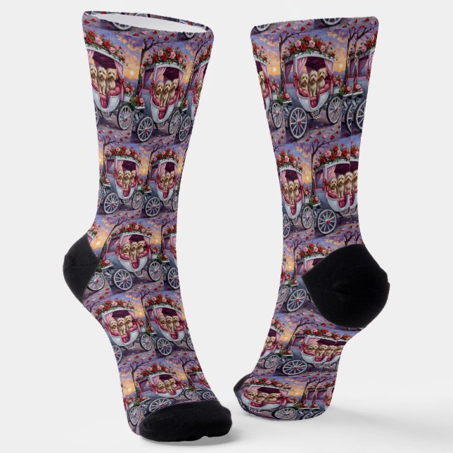 Chaussette Saint-Valentin Chien Havanais  (Angulaire)