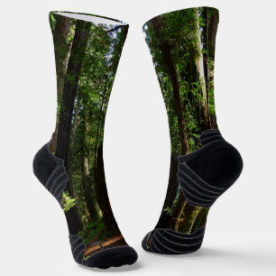Chaussette Séquoias et fougères au parc national de Redwood