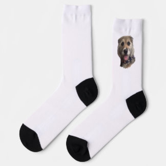 CHAUSSETTE SNICKERS SOCKS