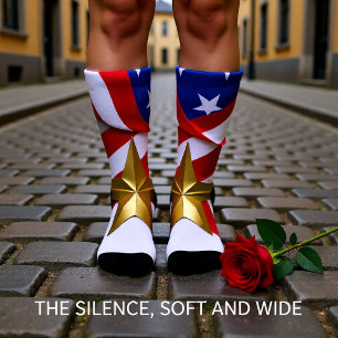 Chaussette Sous les plis de la bannière