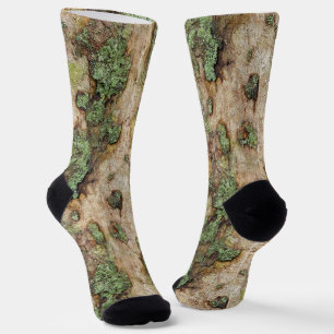 Chaussette Sycamore arbre écorce mousse Lichen