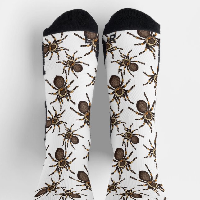Chaussette Tarantula sur blanc (Haut)