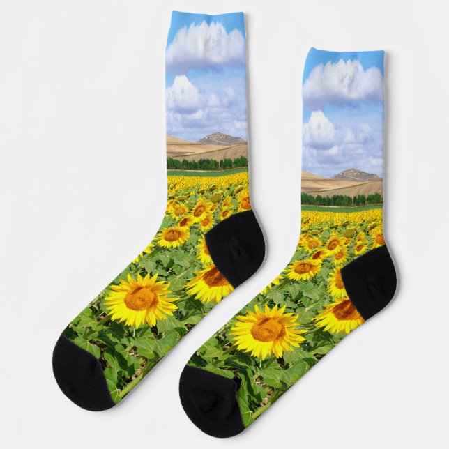 Chaussette Terrain de tournesol (Gauche)