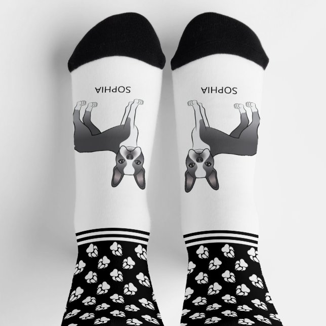 Chaussette Tervueren Boston Terrier Bleu Et Blanc Avec Nom Et (Haut)