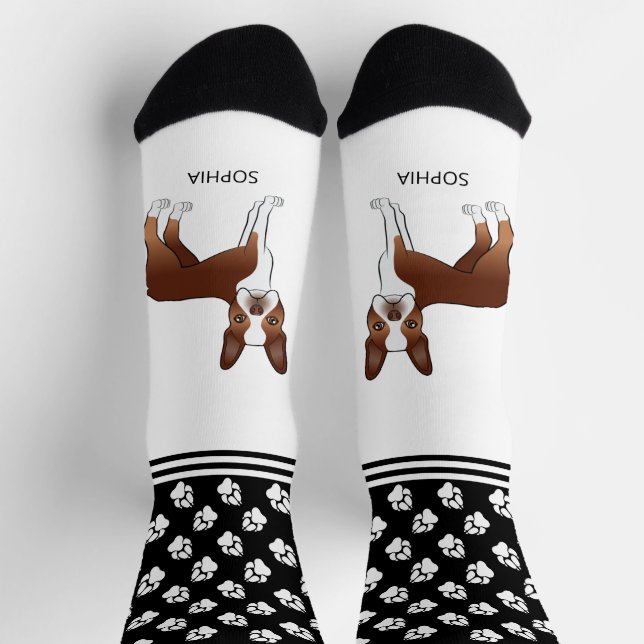 Chaussette Tervueren Boston Terrier rouge et blanc avec nom e (Haut)