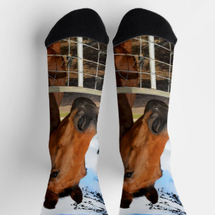 Chaussette Tulip Le Cheval Brown, Chaussettes D'Équipage