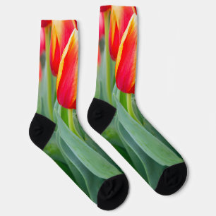 Chaussette Tulipes rouges et jaunes vibrantes dans un jardin