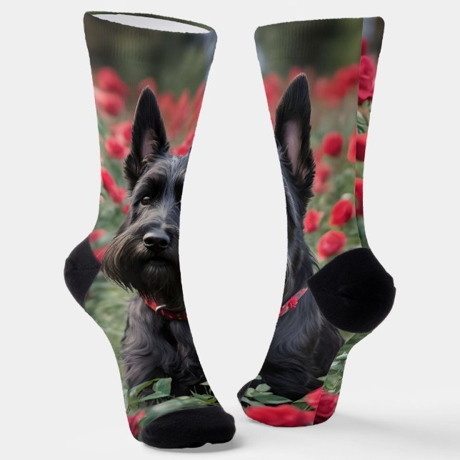 Chaussette "Une rose rouge pour le Terrier écossais noir" (Angulaire)