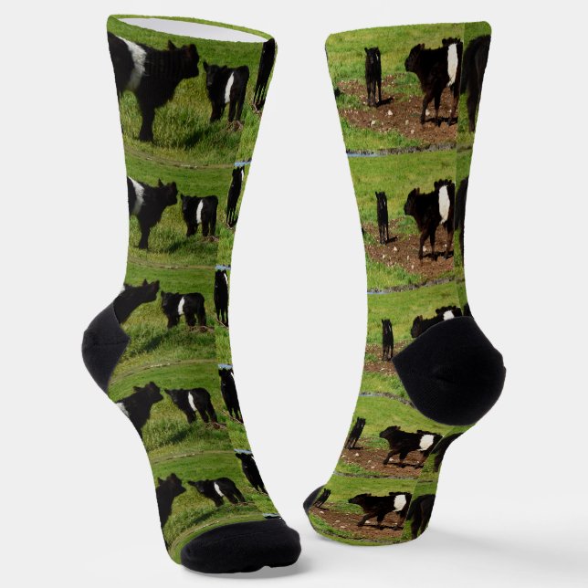 Chaussette Vaches de galloway ceinturées, Chaussettes d'équip (Angulaire)