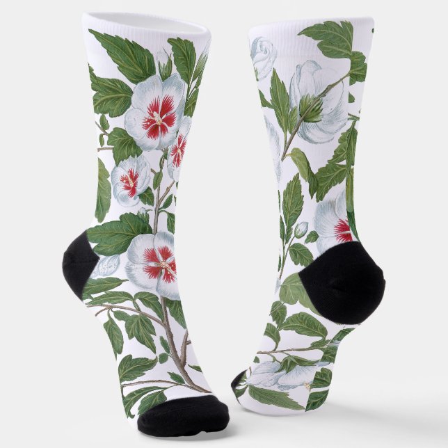 Chaussette Vintage Hibiscus Flowers by Basilius Besler (Angulaire)
