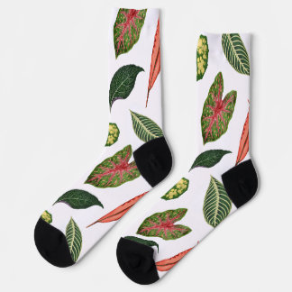 Chaussette Vintage Plant Leaf Novelty Socks - White