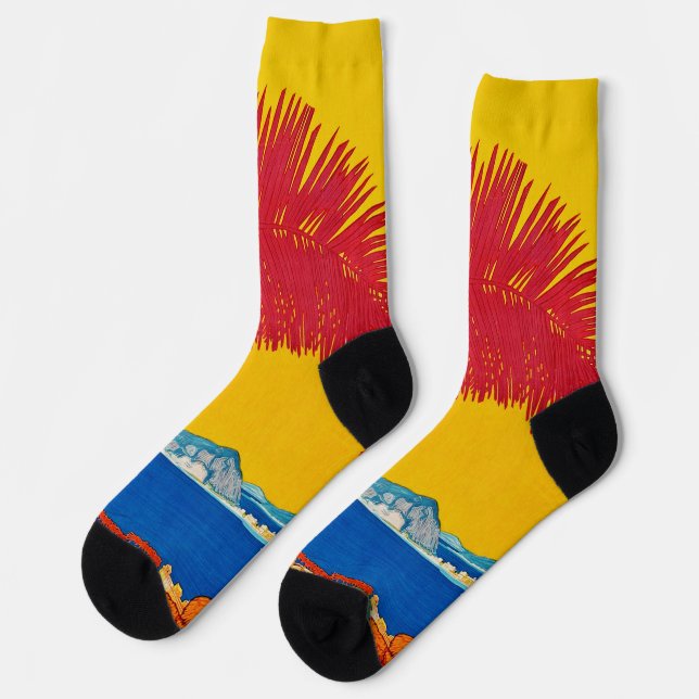 Chaussette Visiter le concept vintage Sudamerica (Gauche)