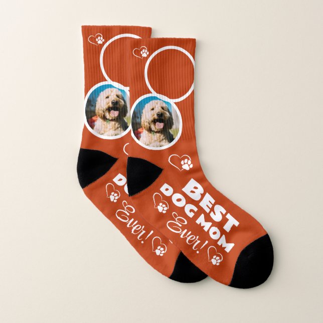 Chaussettes pour animaux de compagnie 2-Photo Meil (Paire)