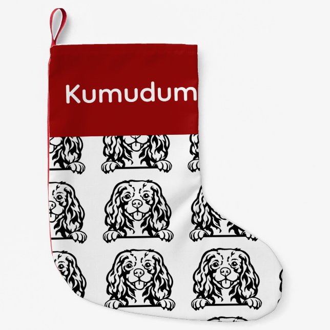 Chaussettes pour chien Cavalier King Charles Spani (Devant)