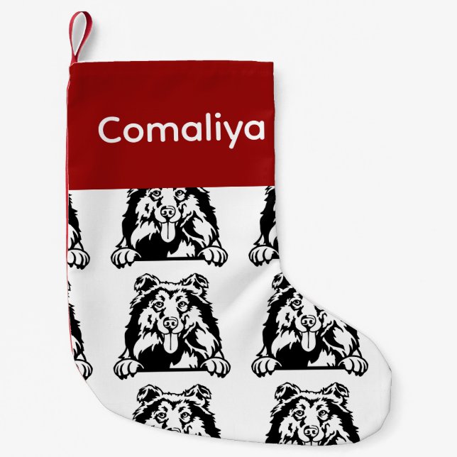 Chaussettes pour chien Collie Chaussettes pour chi (Devant)