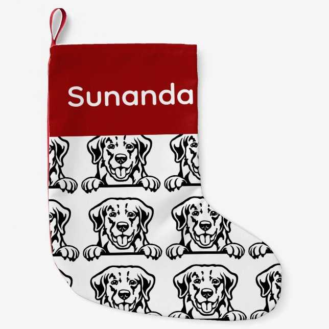 Chaussettes pour chien Golden Retriever Chaussette (Devant)