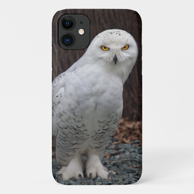 Chaussons correspondants iPhone 11 Coque (Dos)