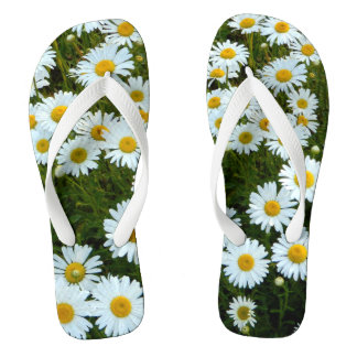 Chaussures à tongs de campagne de Daisy
