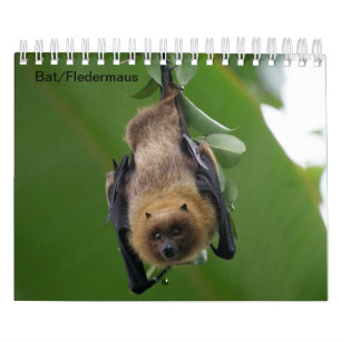 /Chauve-souris comme calendrier a demandé