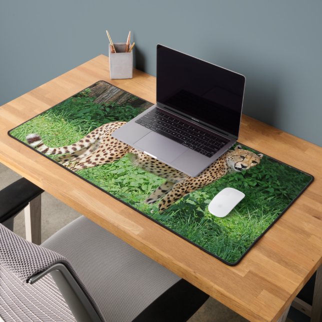 Cheetah (Bureau 2)