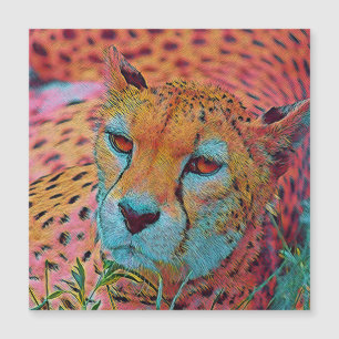 Cheetah