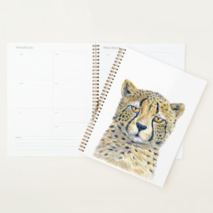 Cheetah