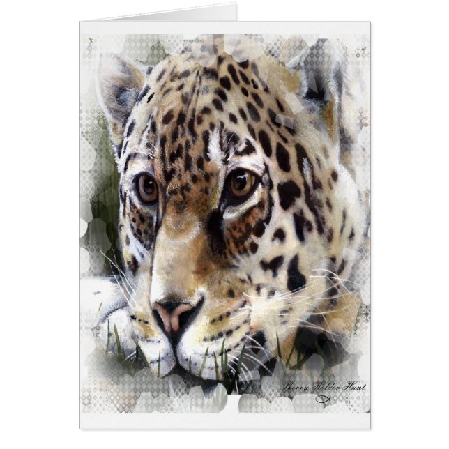 Cheetah (Devant)