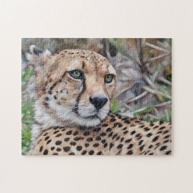 Cheetah Chat Wild Art Puzzle Nature (Horizontal)
