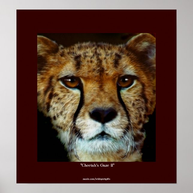 CHEETAH FACE Wildlife Art Affiche (Devant)
