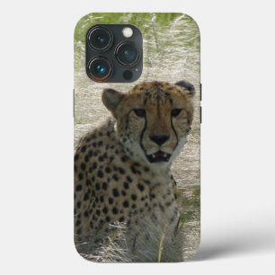 Cheetah iPhone / coque ipad