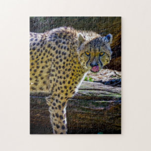 Cheetah Jigsaw Puzzle