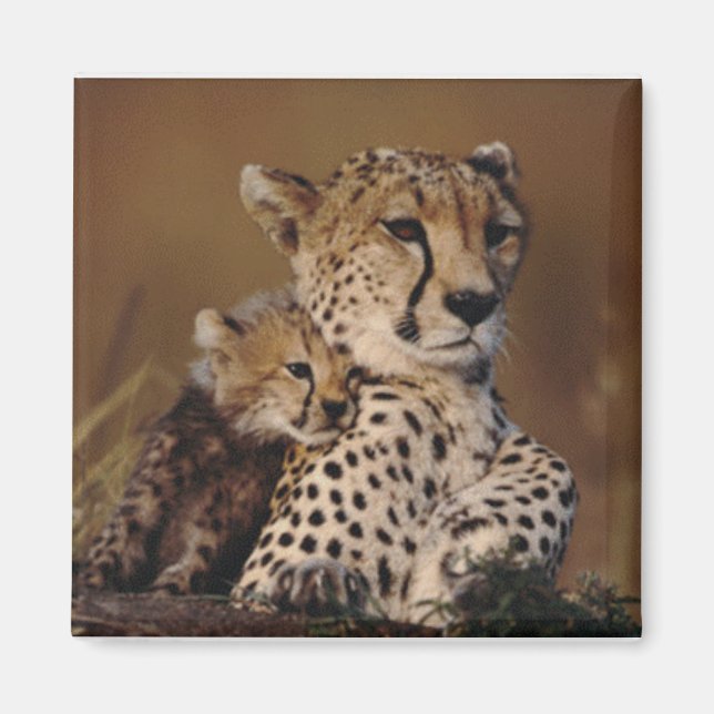 Cheetah Mother and Cub Magnet (Devant)