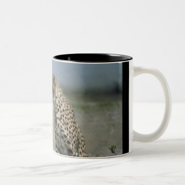 Cheetah Mug (Droit)