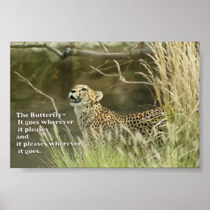 CHEETAH REGARDER BUTTERFLY POSTER PROVERB