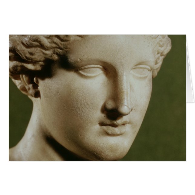 Chef d'Artemis (Devant horizontal)