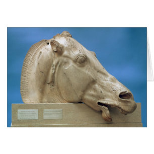 Chef d'un des chevaux de Selene
