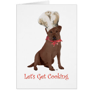 Chef Labrador Retriever Chocolat