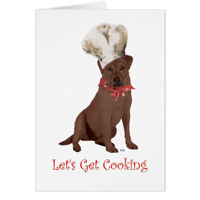 Chef Labrador Retriever Chocolat (Devant)