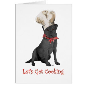 Chef Labrador Retriever Noir
