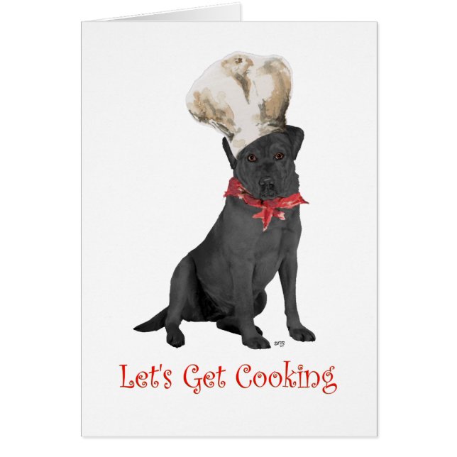 Chef Labrador Retriever Noir (Devant)