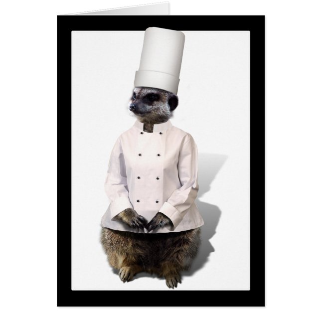 Chef Meerkat (Devant)