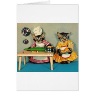 chef tabby kitten et assistant tabby kitten