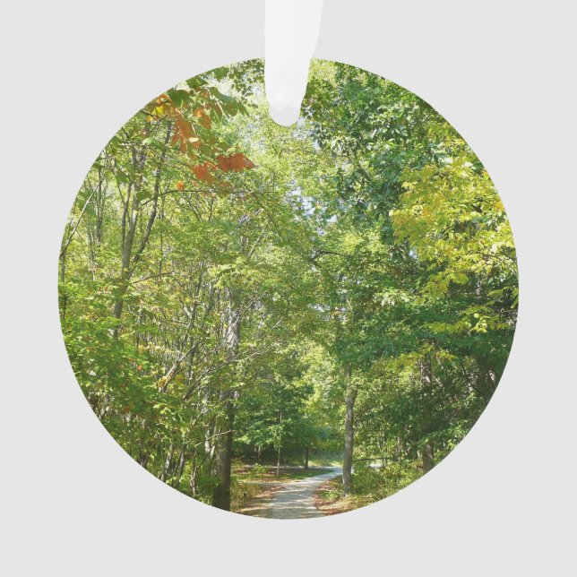 Chemin boisé centenaire I Ellicott City Nature (devant)