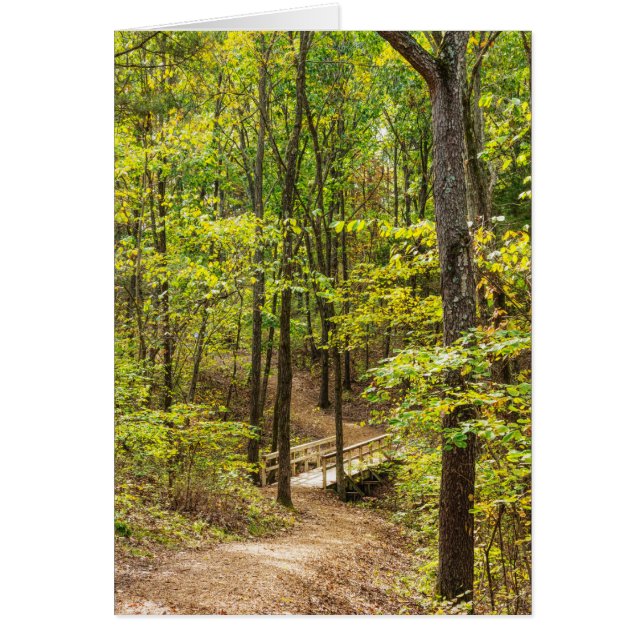 Chemin D'Accès À La Carte De Voeux Bridge (Devant)