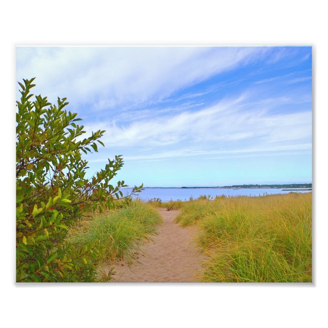Chemin D'Accès À La Plage Photo Print (Devant)