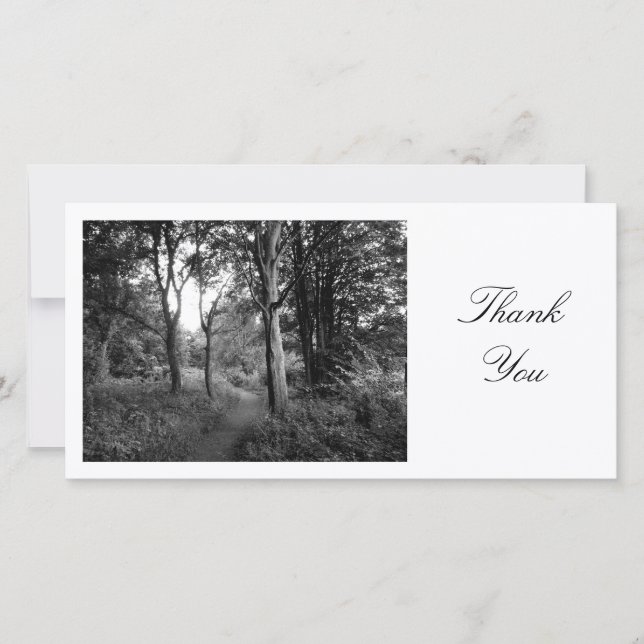 Chemin dans les bois - Merci (Devant)