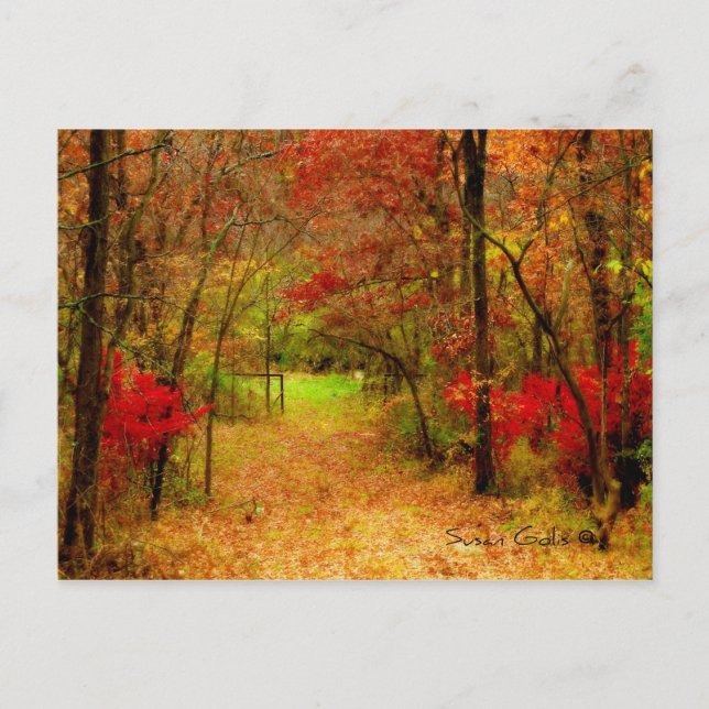Chemin d'automne dans la forêt Carte de remercieme (Devant)